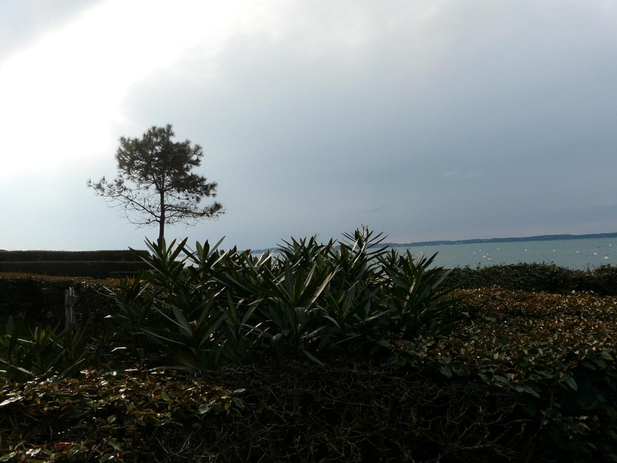 Arcachon Pereire Bord De Plage Eksteriør billede